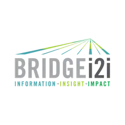 Bridgei2i Analytics Solutions