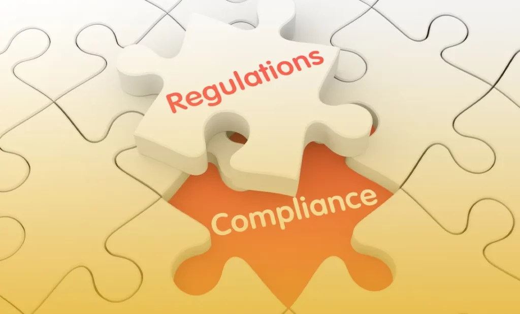 Compliance and Filing Obligations